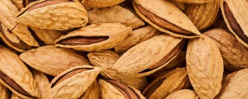 Almonds in the Shell
