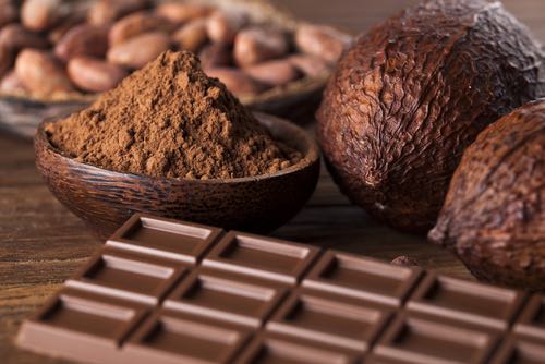 Cacao Powder Shown with Squares of Chocolate and Cacao Beans