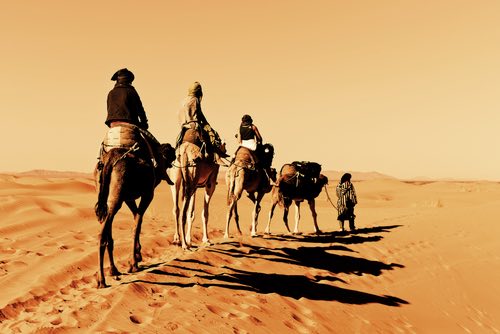 Camel Caravan in the Desert