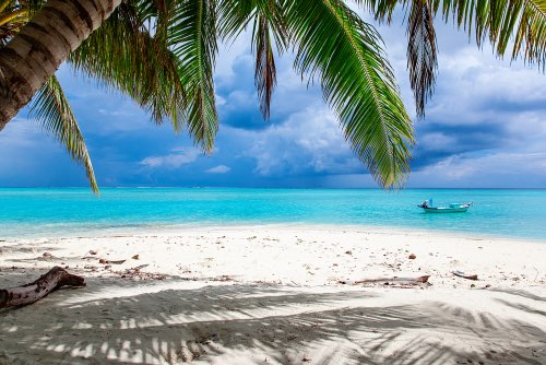 Tranquil Beach Scene