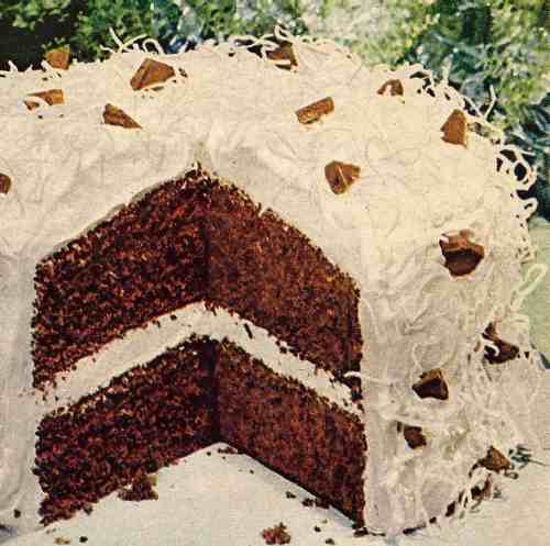 Chocolate Cake with Coconut Icing