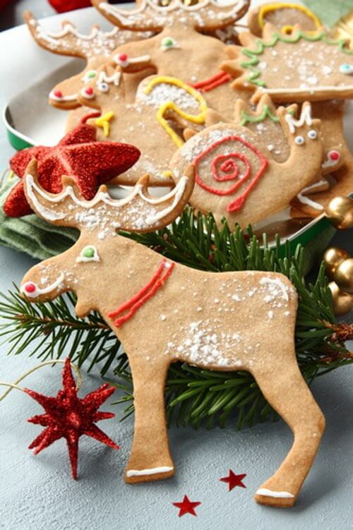 Christmas Gingerbread Animals