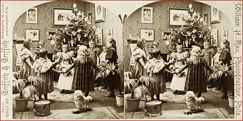 Antique Stereoscopic Image