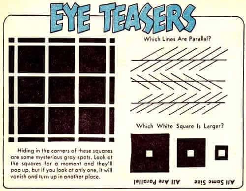 Eye Teasers Puzzle