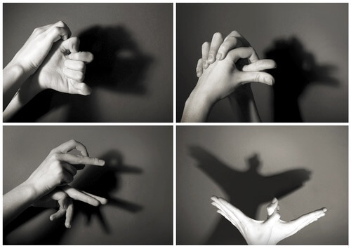 How to Make Hand Shadows - Illustrated Instructions
