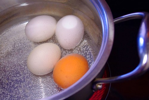 Hard Boiling Eggs in a Pot