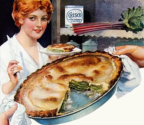 Vintage Homemade Rhubarb Pie Illustration circa 1918