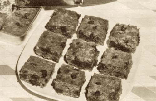 Chocolate Graham Squares