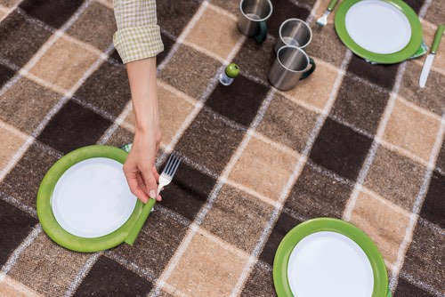 Placing Plates for an Outdoor Picnic