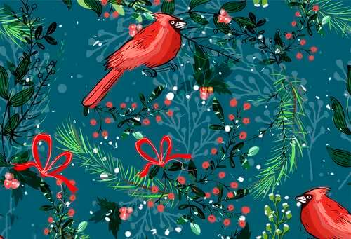 Pine Needles, Cardinals, and Holly Illustration