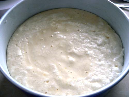 Sponge Cake Batter in the Pan