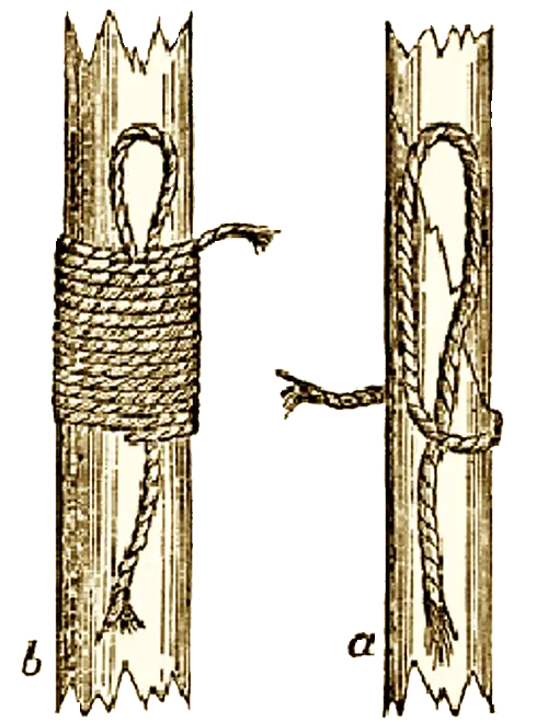 Illustration of the Binding Knot