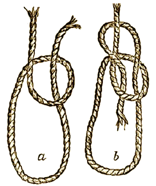Illustration of a Bowline Knot