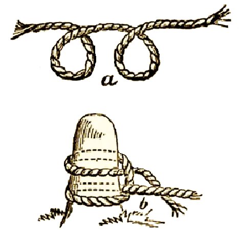 Illustration of a Clove-Hitch Knot