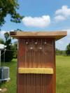 Zither Pins on Wind Harp