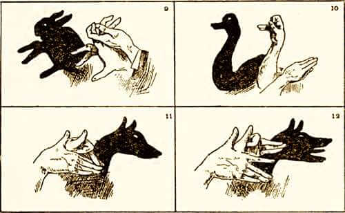 Trewey Figs. 9, 10, 11, 12