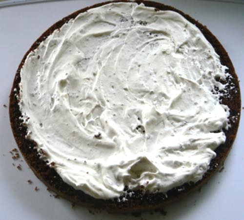Whipped Cream Filling