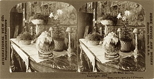 Antique Stereoscopic Image