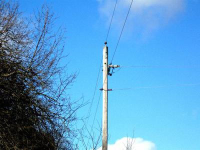 Singing Telephone Poles