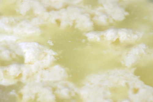 Homemade Curds and Whey