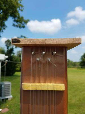 Zither Pins on Wind Harp
