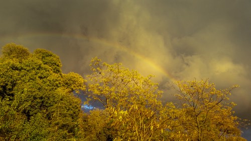 Irish Rainbow