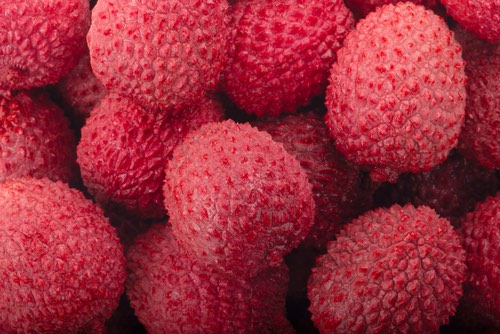 Fresh Lychee Fruit