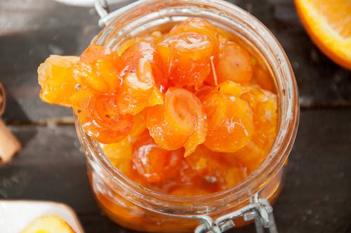 Get historical Renaissance marmalet recipes to make delicious marmalade treats of orange, plum, apricot or almond for serving at Medieval feasts and fairs.